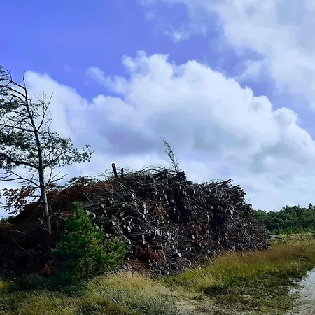 8 Person In Oksbol-by Traum