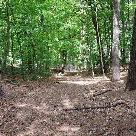 8 Person In Oksbol-by Traum Oksbøl